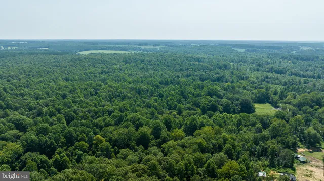 an aerial view of forest