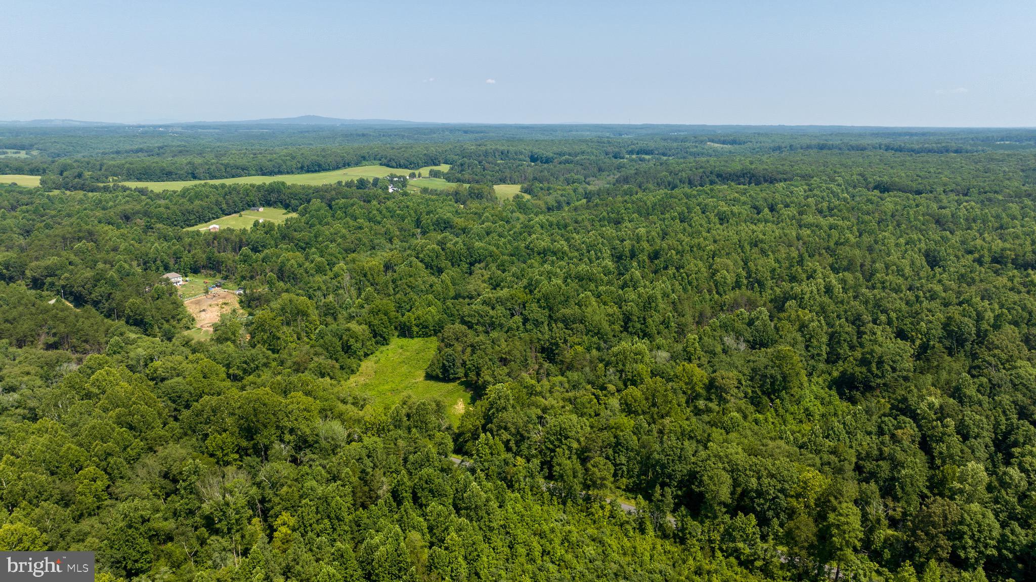 Hunters Ridge Lane Unionville, VA 22567 - Photo 20 of 33 a view of a forest with a street