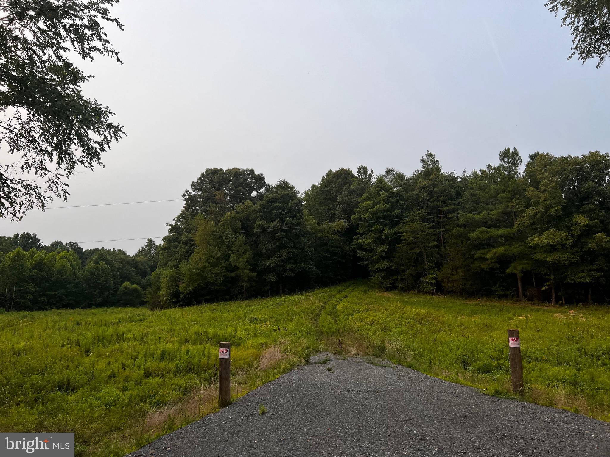 Hunters Ridge Lane Unionville, VA 22567 - Photo 25 of 33 a view of a garden with lawn chairs