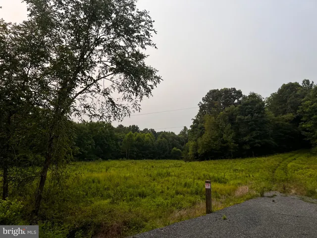 a view of garden with trees