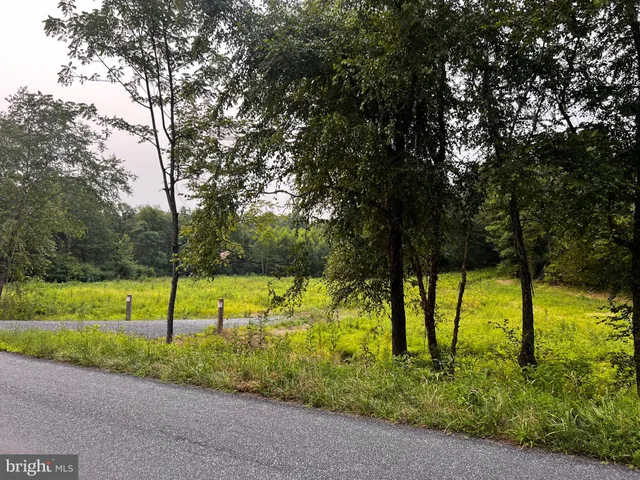 a view of an outdoor space and yard