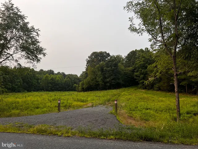 a view of a field with an trees in the background