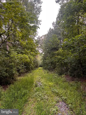 $469,000 | Hunters Ridge Lane, Unionville, VA 22567