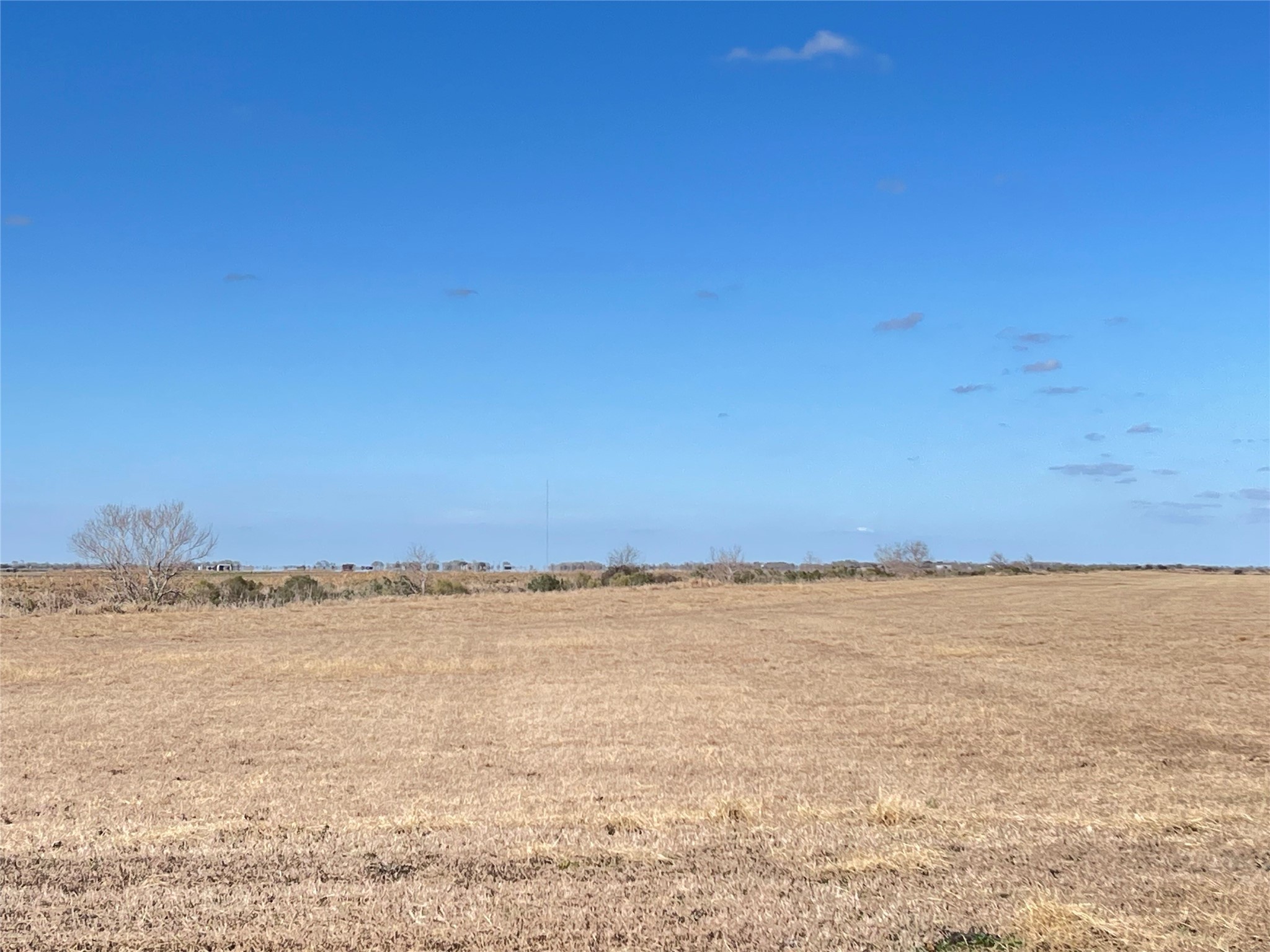 768 Million Dollar Road Palacios, TX 77465 - Photo 48 of 49