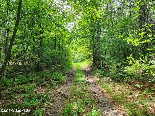 $499,900 | 313 Jackson Ny 12873, Shushan, NY 12873