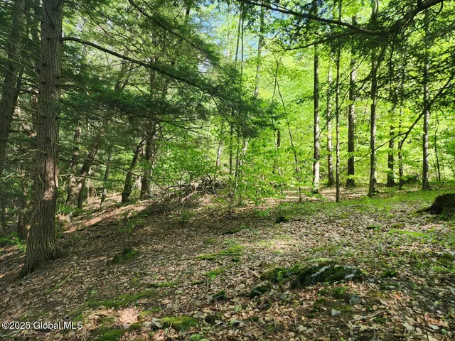 $499,900 | 313 Jackson Ny 12873, Shushan, NY 12873