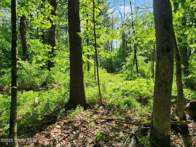 $499,900 | 313 Jackson Ny 12873, Shushan, NY 12873