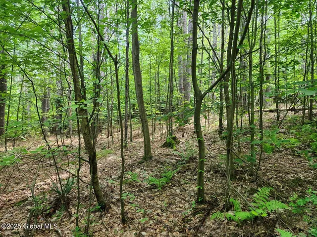 $499,900 | 313 Jackson Ny 12873, Shushan, NY 12873