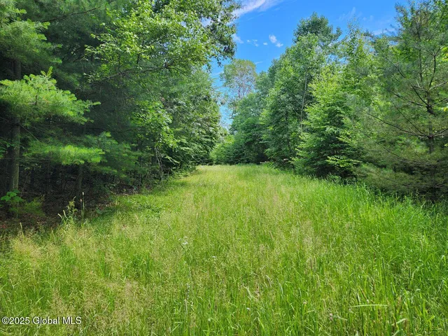 $499,900 | 313 Jackson Ny 12873, Shushan, NY 12873