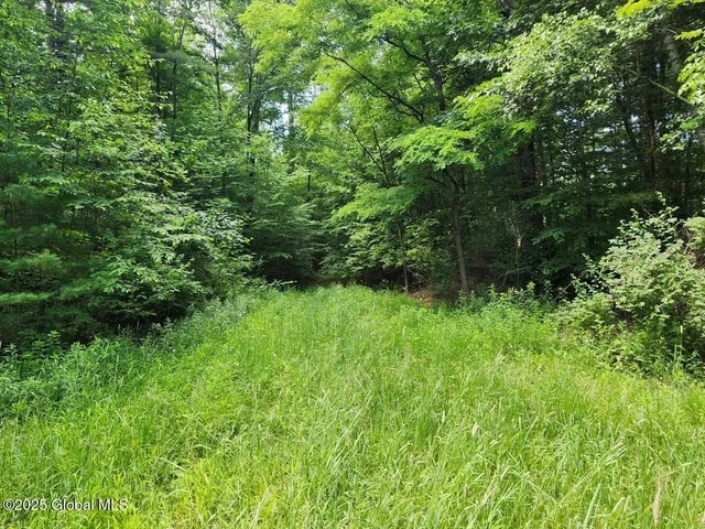 $499,900 | 313 Jackson Ny 12873, Shushan, NY 12873