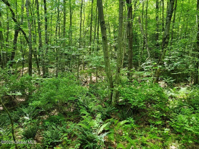 $499,900 | 313 Jackson Ny 12873, Shushan, NY 12873