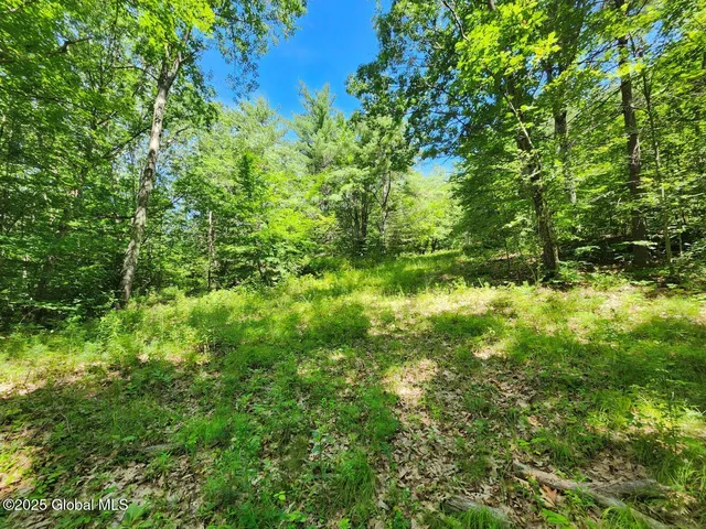 $499,900 | 313 Jackson Ny 12873, Shushan, NY 12873