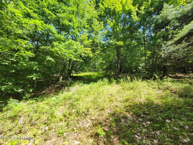 $499,900 | 313 Jackson Ny 12873, Shushan, NY 12873