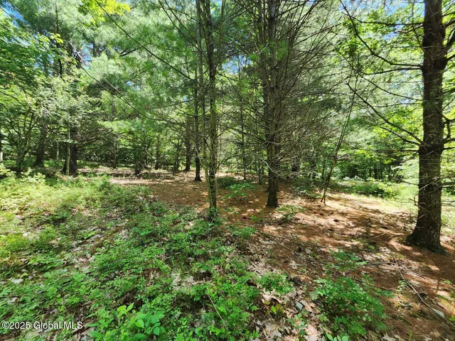 $499,900 | 313 Jackson Ny 12873, Shushan, NY 12873