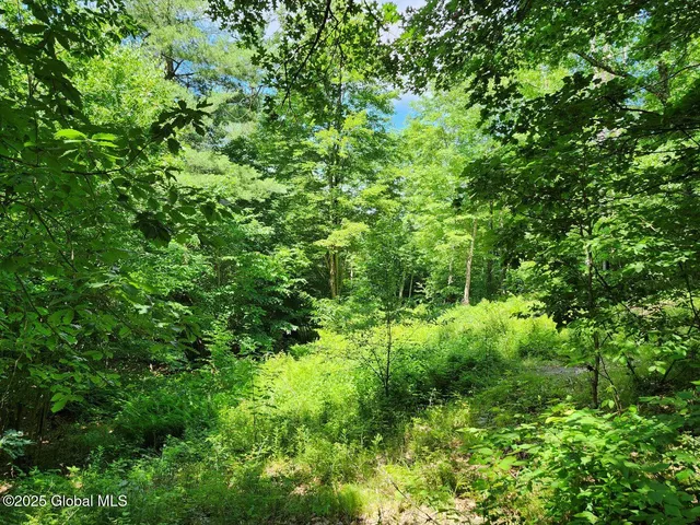 $499,900 | 313 Jackson Ny 12873, Shushan, NY 12873