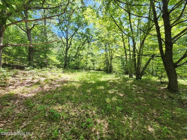 $499,900 | 313 Jackson Ny 12873, Shushan, NY 12873