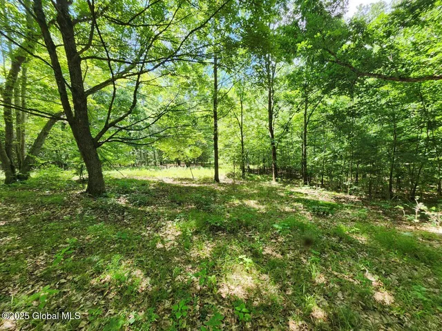 $499,900 | 313 Jackson Ny 12873, Shushan, NY 12873