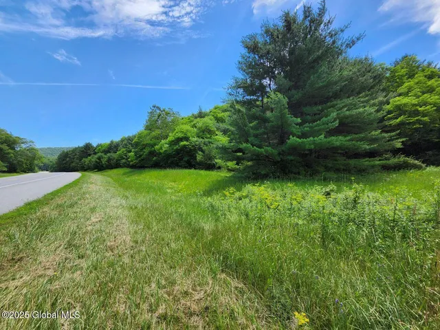 $499,900 | 313 Jackson Ny 12873, Shushan, NY 12873