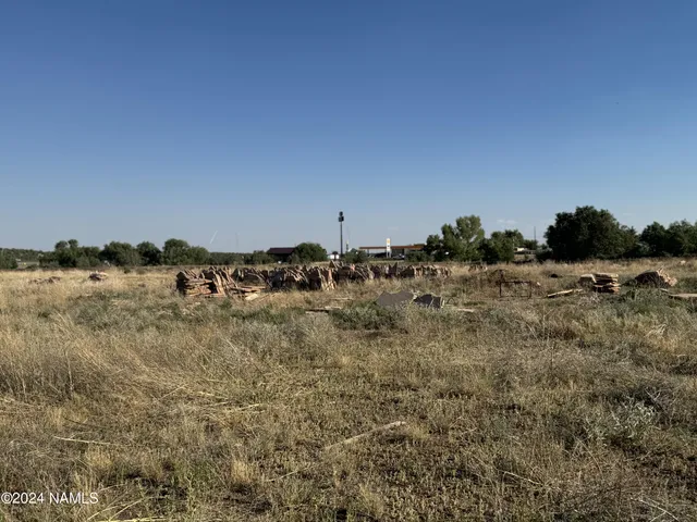 a view of a yard with horses