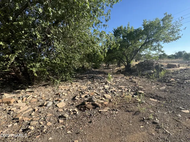 a view of a yard with a tree