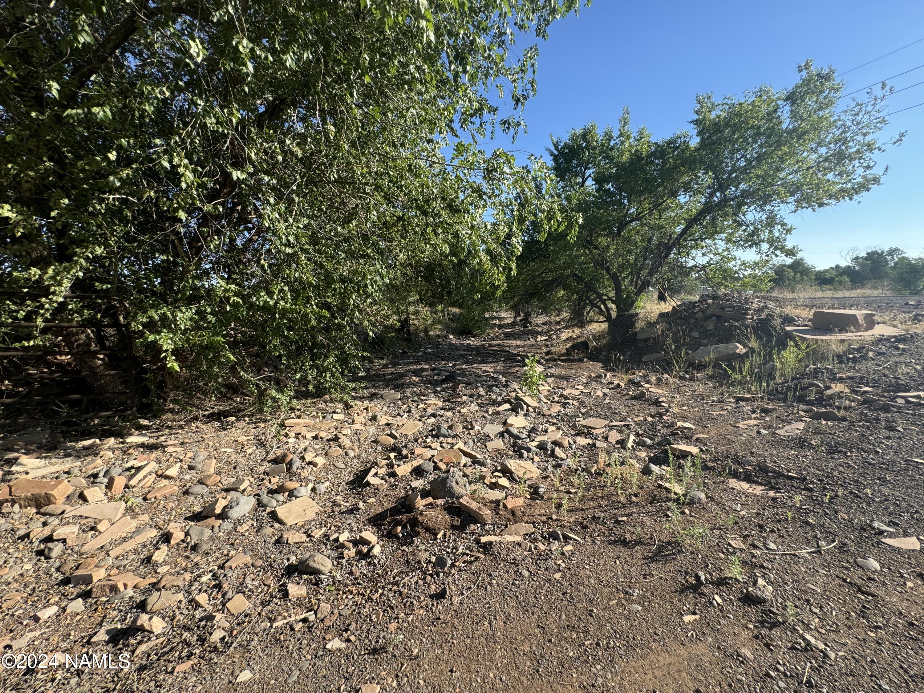 48501 North Double A Rnch Road Williams, AZ 86046 - Photo 42 of 46 a view of a yard with plants and tree