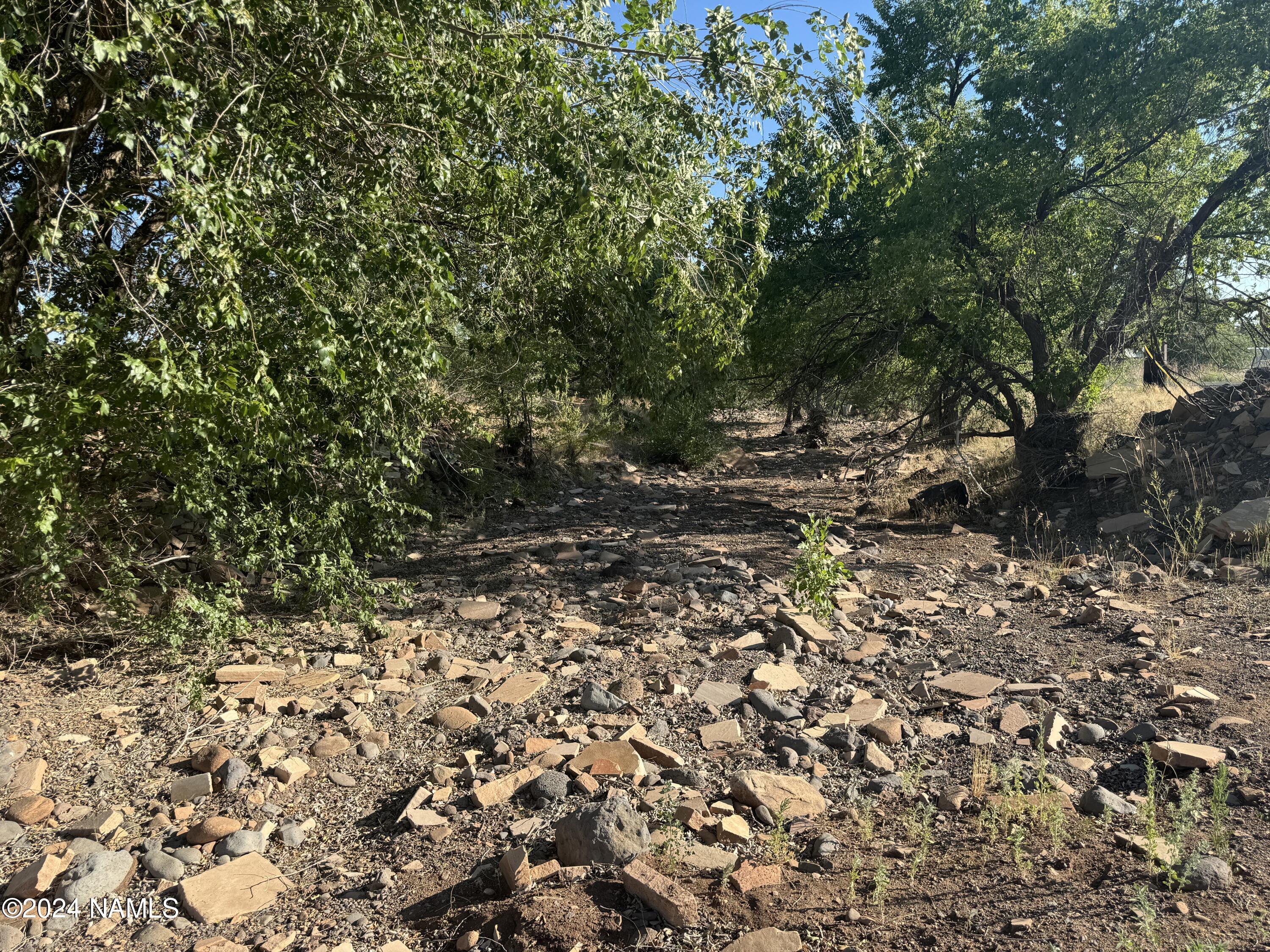 48501 North Double A Rnch Road Williams, AZ 86046 - Photo 43 of 46 a view of a yard with a tree