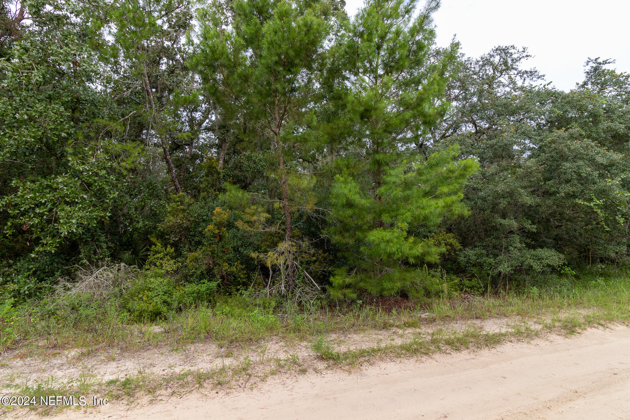 0 Paradise Road DeLand, FL 32720 - Photo 8 of 11 Center_Front