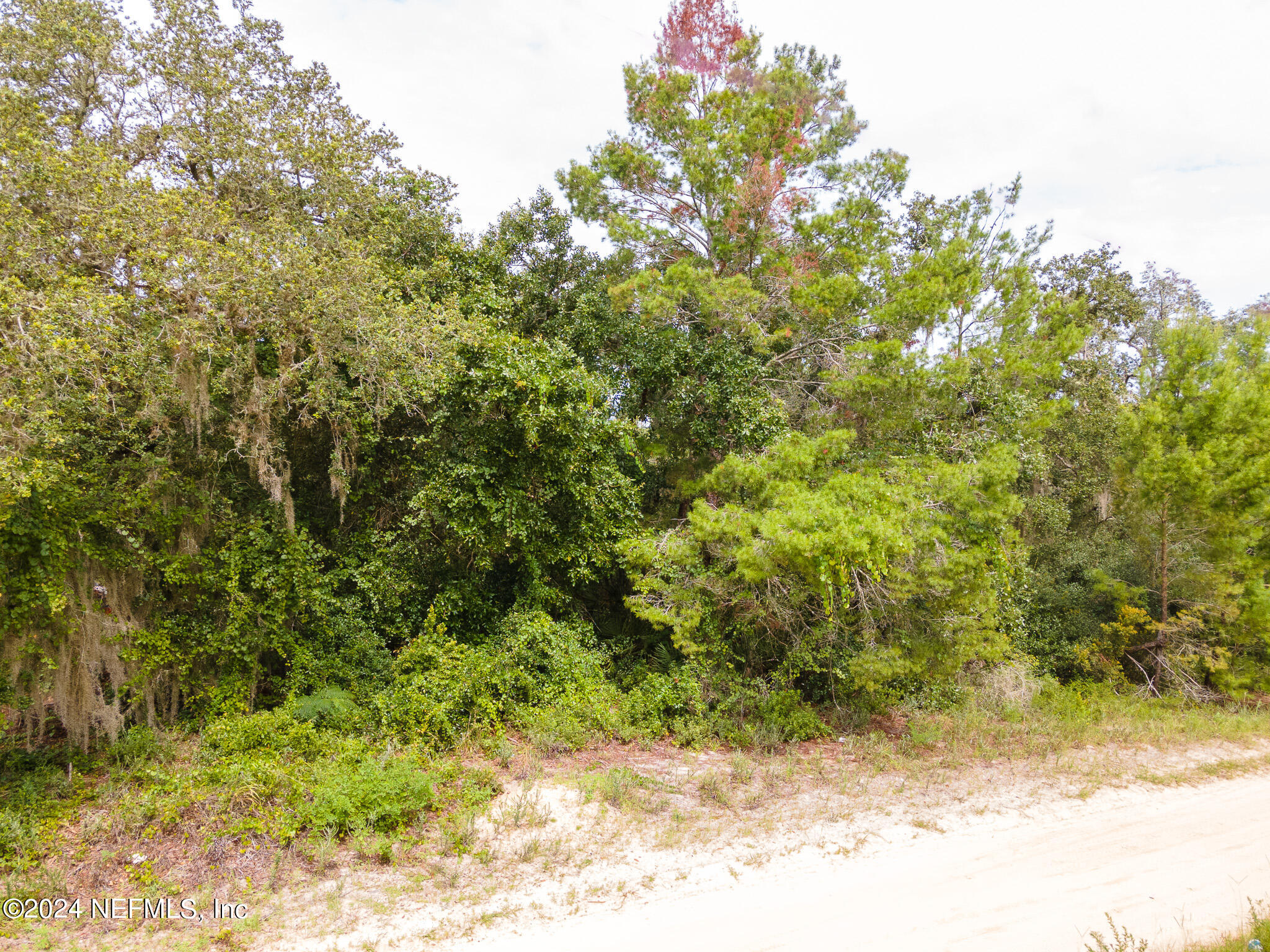 0 Paradise Road DeLand, FL 32720 - Photo 9 of 11 Left_Front_Higher