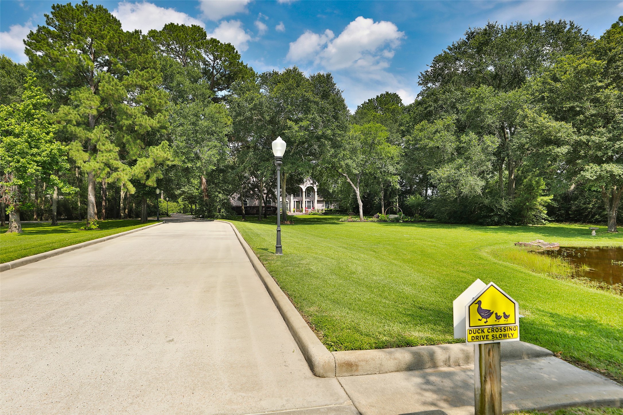 12126 Zion Road Tomball, TX 77375 - Photo 5 of 45 a view of a park with large trees