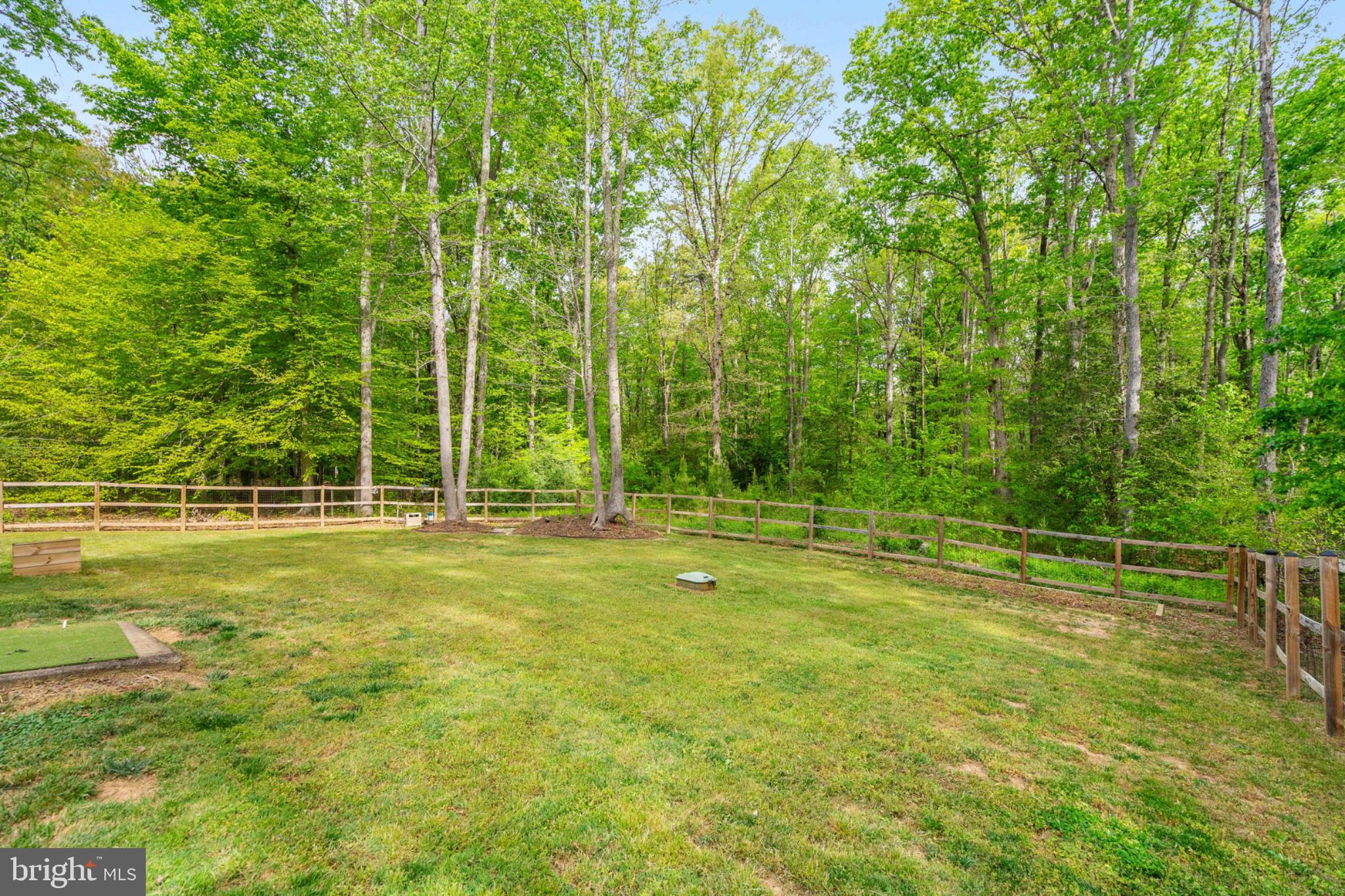 2319 Sizer Road Beaverdam, VA 23015 - Photo 11 of 61 Serene green space embraced by trees.