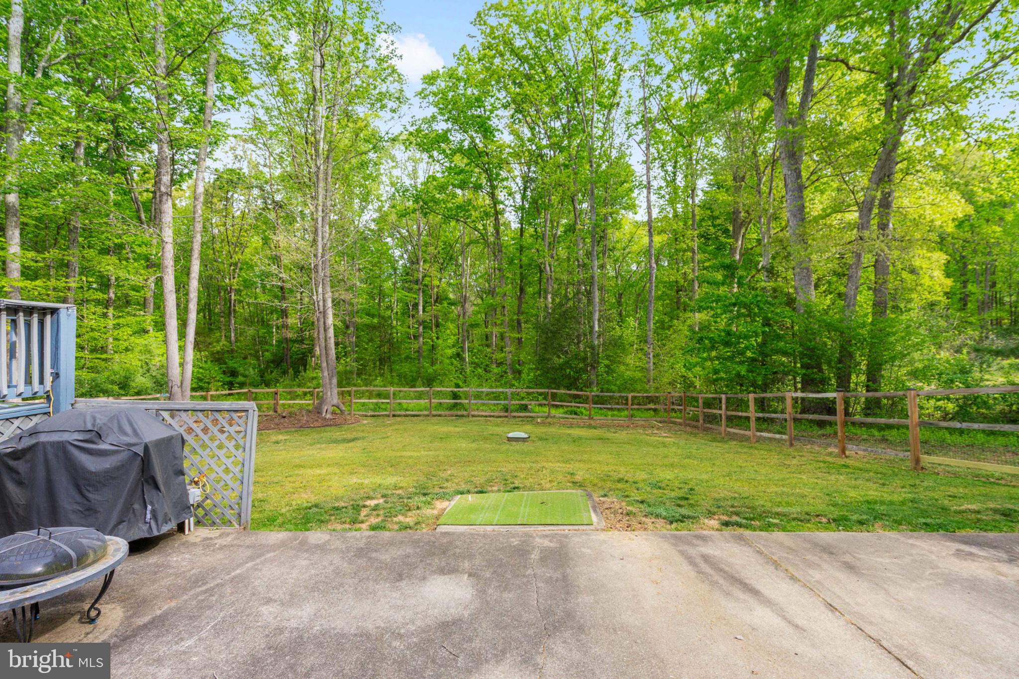 2319 Sizer Road Beaverdam, VA 23015 - Photo 48 of 61 Serene backyard oasis with lush greenery.