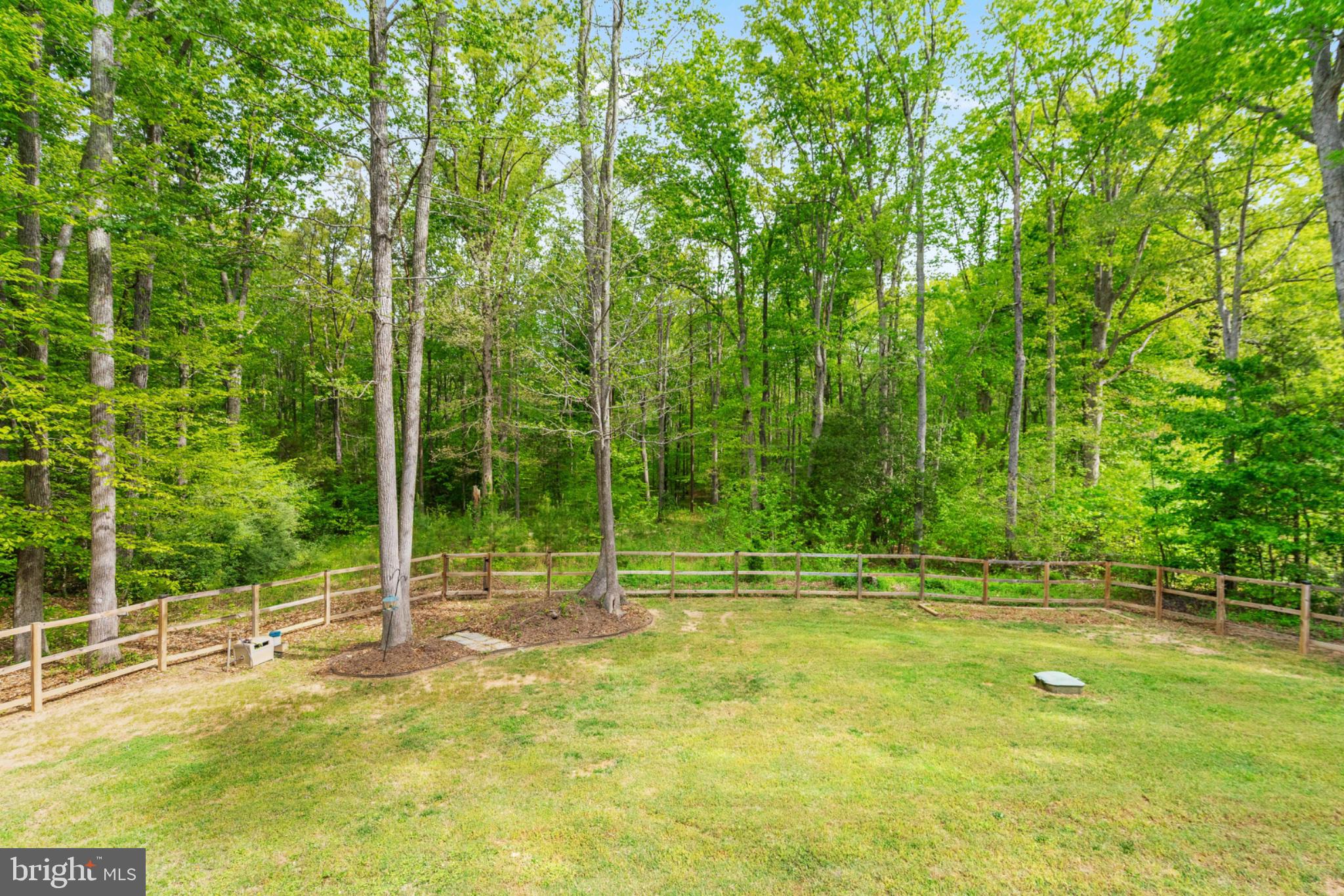 2319 Sizer Road Beaverdam, VA 23015 - Photo 51 of 61 Serene backyard with lush greenery.