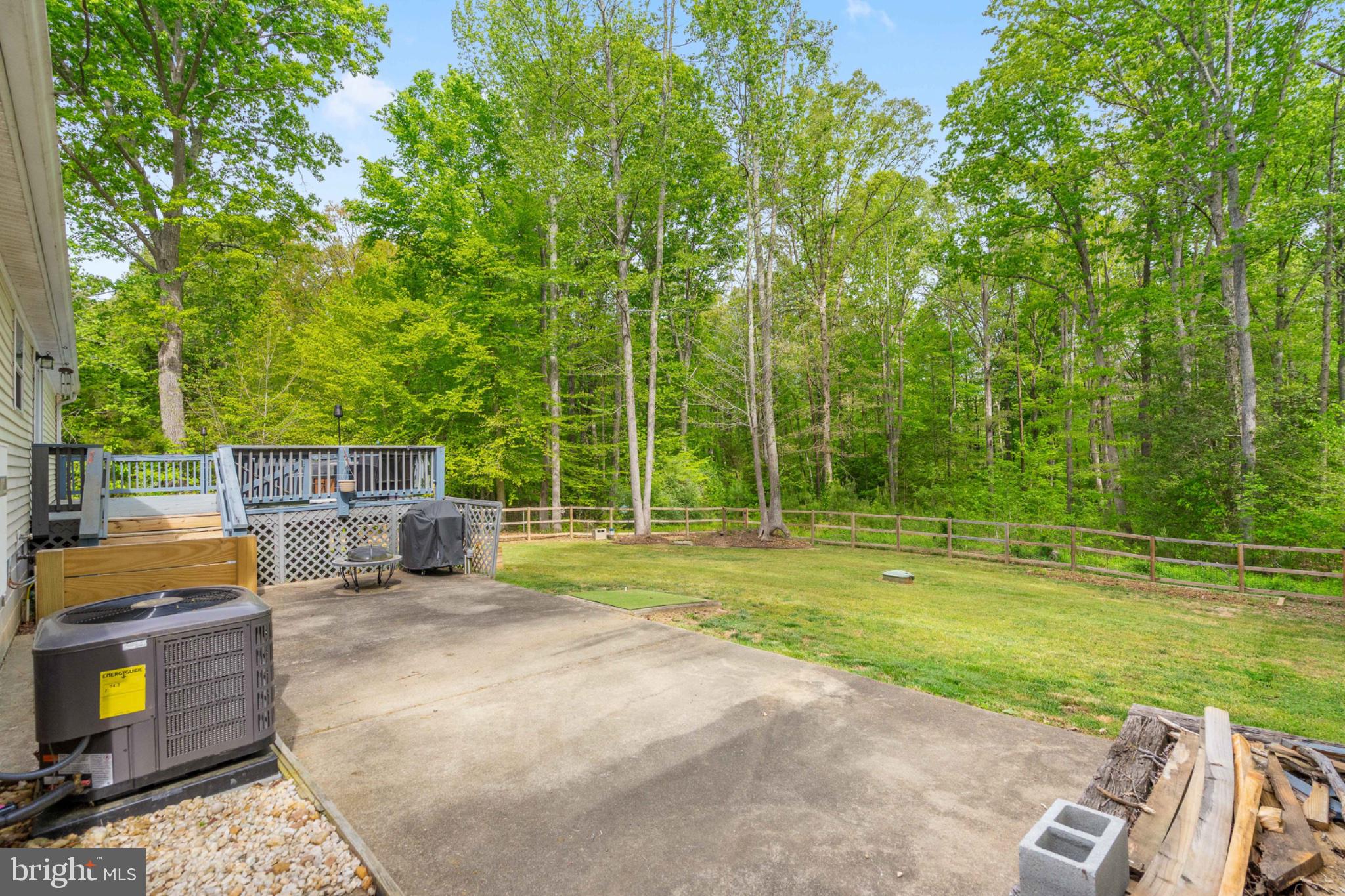 2319 Sizer Road Beaverdam, VA 23015 - Photo 53 of 61 Serene backyard retreat with lush greenery.