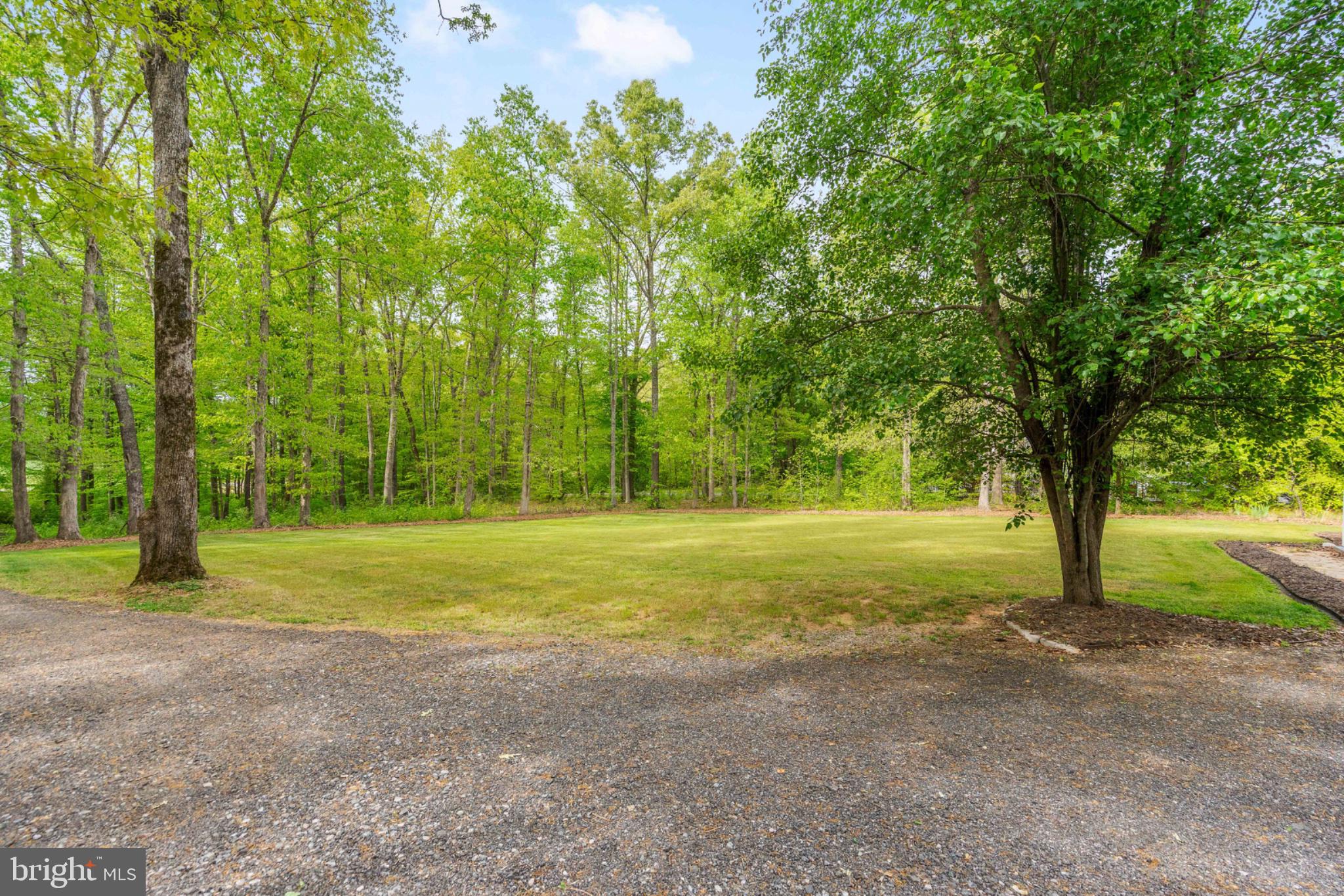 2319 Sizer Road Beaverdam, VA 23015 - Photo 54 of 61 Serene wooded retreat awaits you.