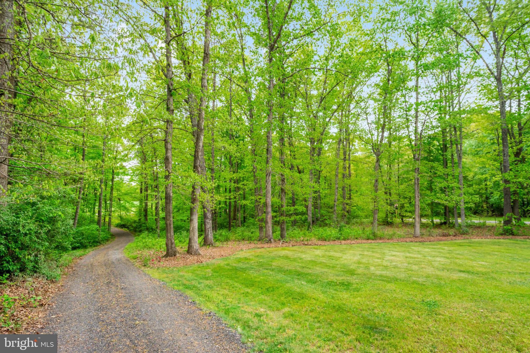 2319 Sizer Road Beaverdam, VA 23015 - Photo 58 of 61 Serene path through lush greenery.