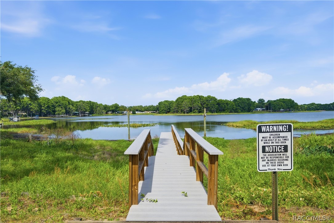 964 Pritchard Island Road Inverness, FL 34450 - Photo 63 of 76 Community boat dock