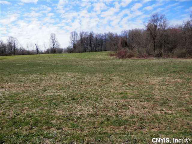 0 Besaw Road Phoenix, NY 13135 - Photo 1 of 1 Land