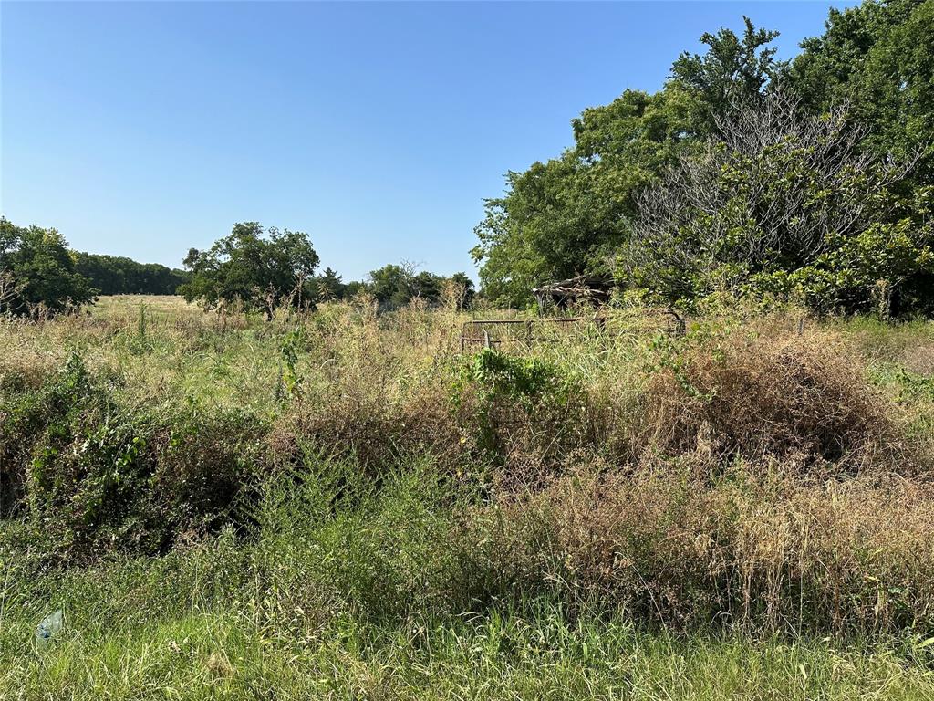 Lot 2 Cedar Road Sherman, TX 75090 - Photo 3 of 24 View of local wilderness with a rural view