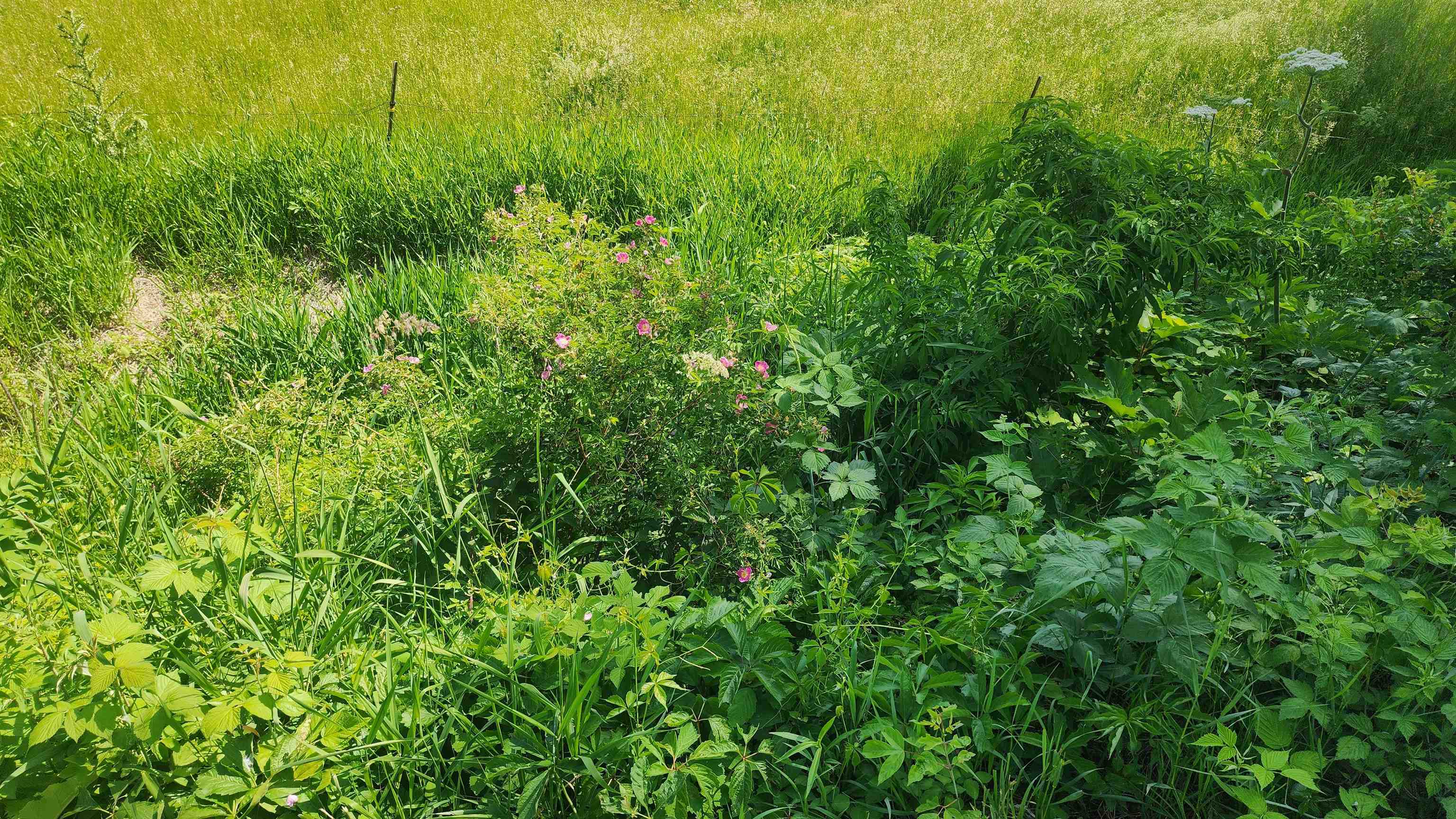 0 Shortcut Seneca, WI 54654 - Photo 21 of 22