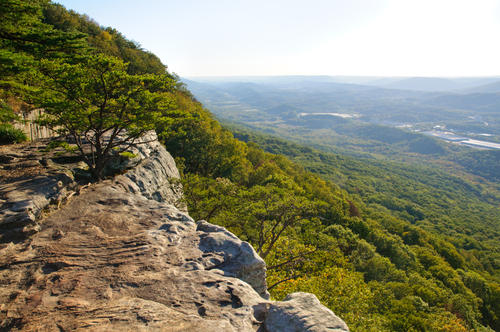505 White Road Chattanooga, TN 37421 - Photo 28 of 30 shutterstock_68119174