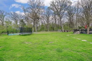 a view of a park with large trees