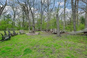 a view of a park with large trees