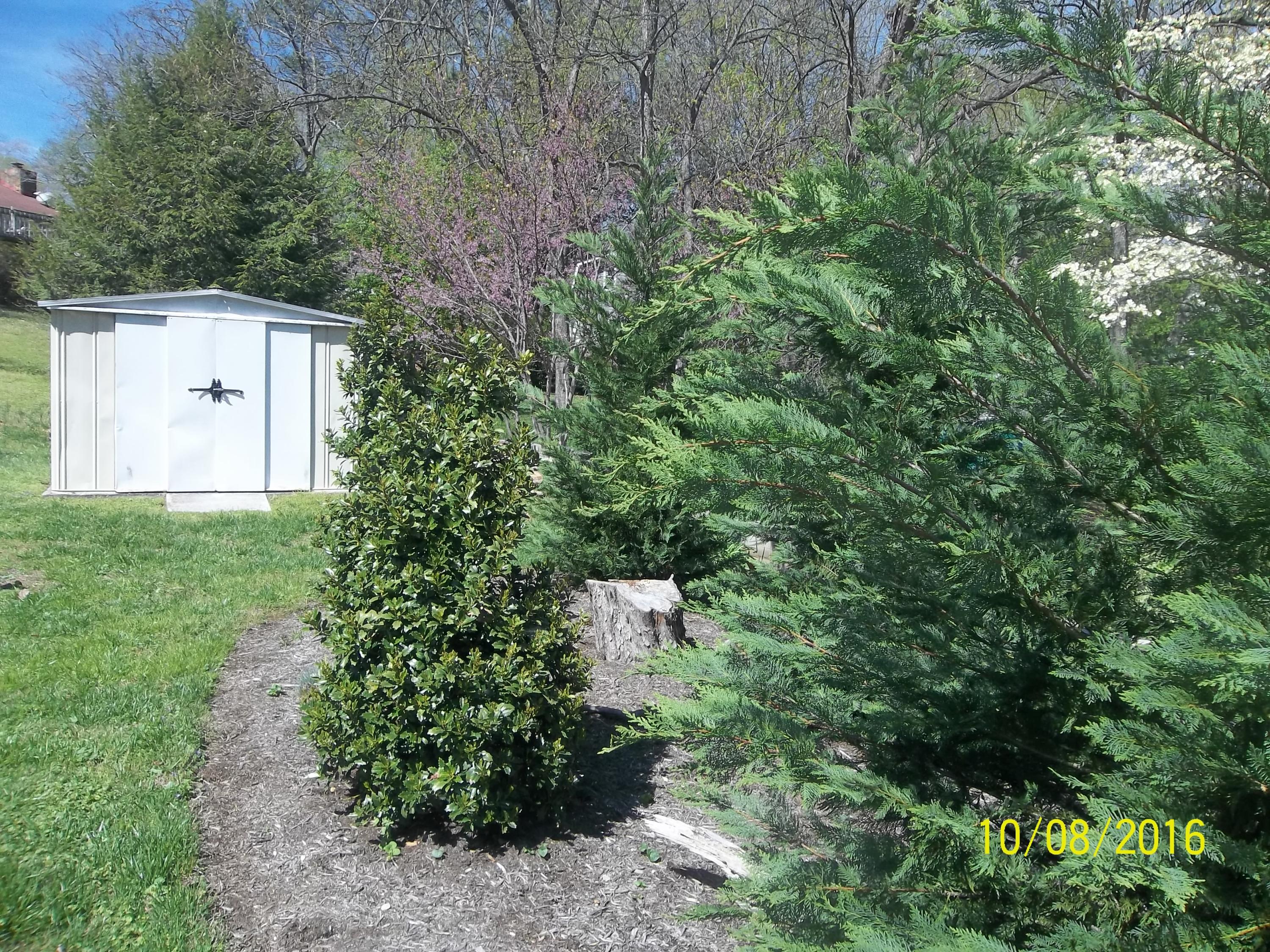 104 Maple Lane Oak Ridge, TN 37830 - Photo 5 of 29 100_1418