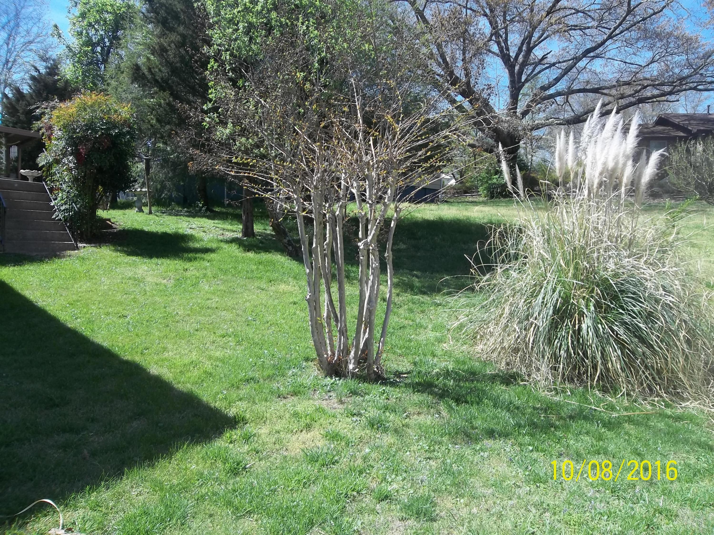 104 Maple Lane Oak Ridge, TN 37830 - Photo 6 of 29 100_1419