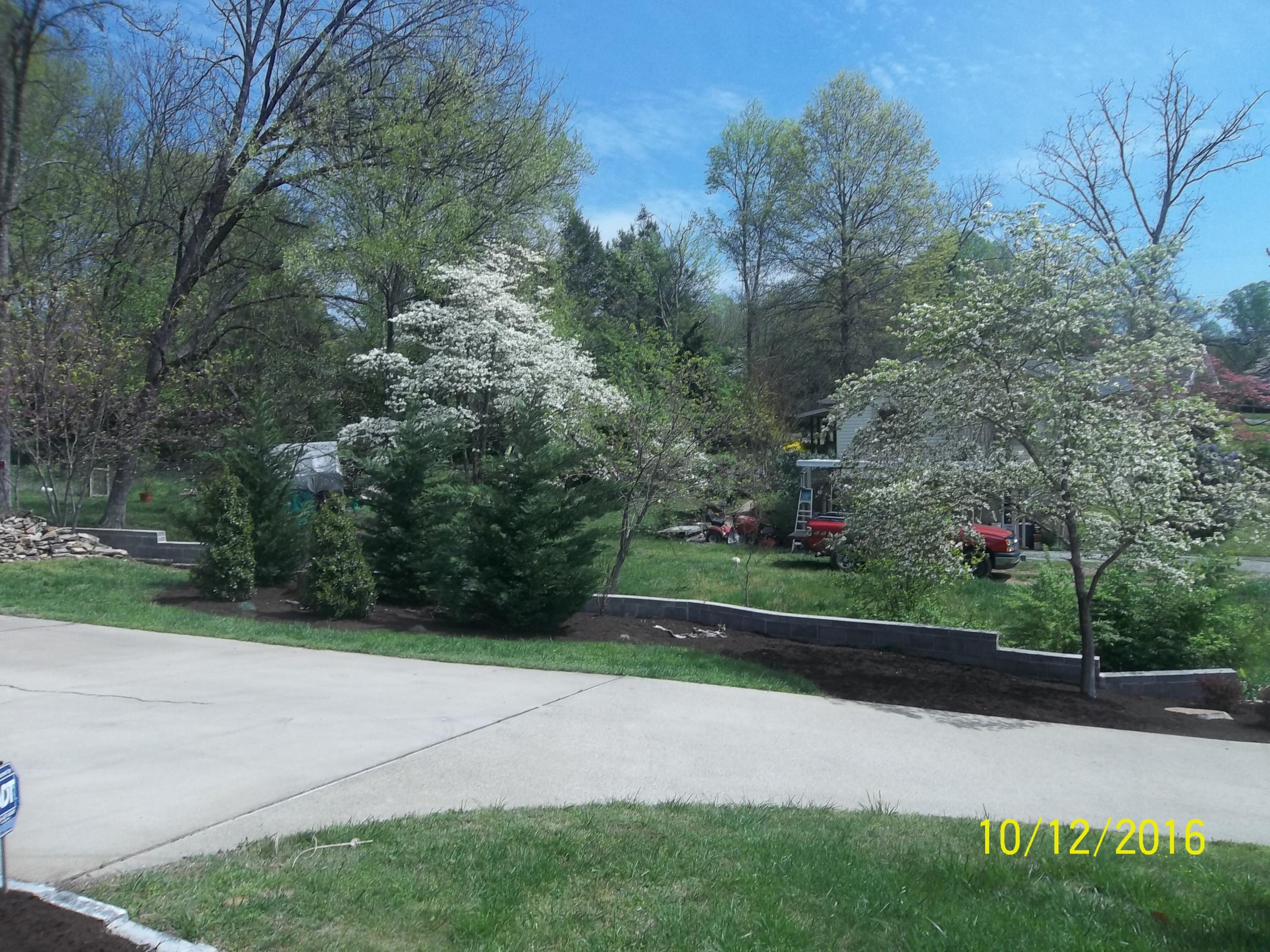 104 Maple Lane Oak Ridge, TN 37830 - Photo 9 of 29 100_1430