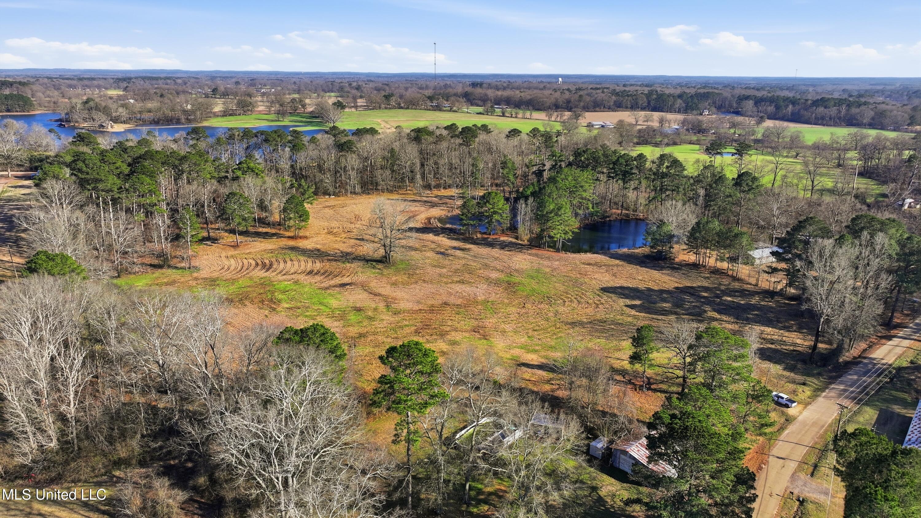 254 Red Allen Road Brandon, MS 39042 - Photo 11 of 32 19-249 Red Allen Rd _ Home Tours MS
