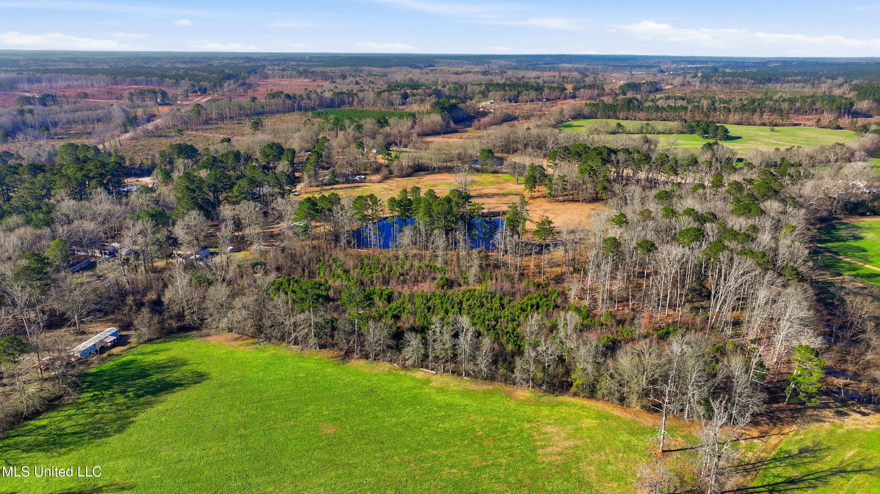 254 Red Allen Road Brandon, MS 39042 - Photo 12 of 32 12-249 Red Allen Rd _ Home Tours MS