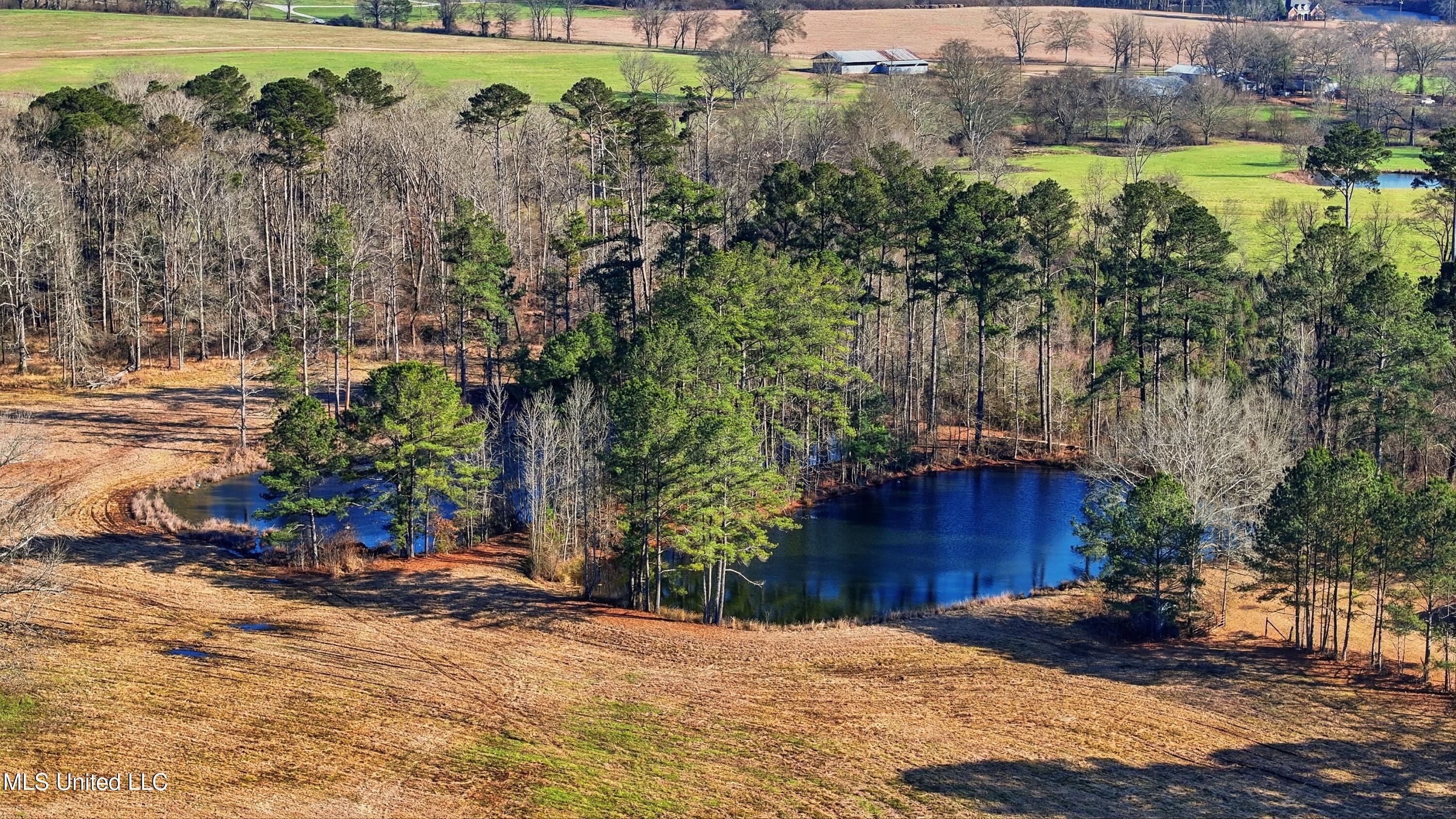 254 Red Allen Road Brandon, MS 39042 - Photo 13 of 32 20-249 Red Allen Rd _ Home Tours MS