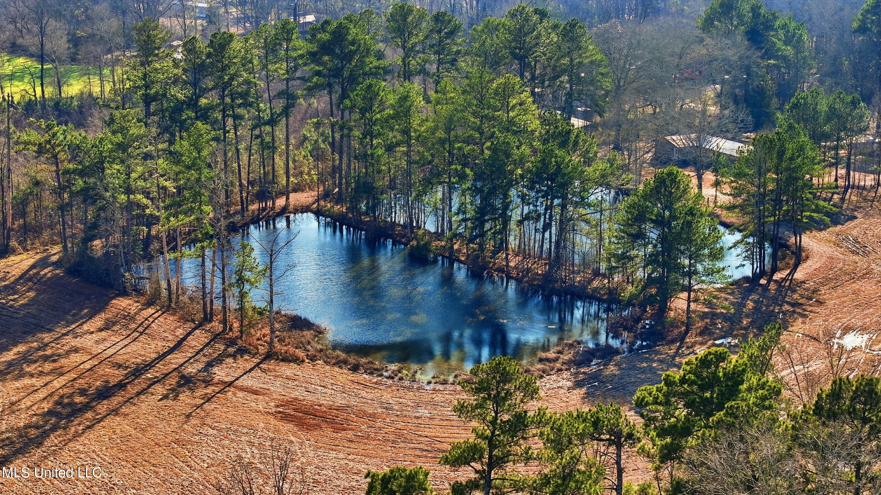254 Red Allen Road Brandon, MS 39042 - Photo 13 of 31 23-249 Red Allen Rd _ Home Tours MS