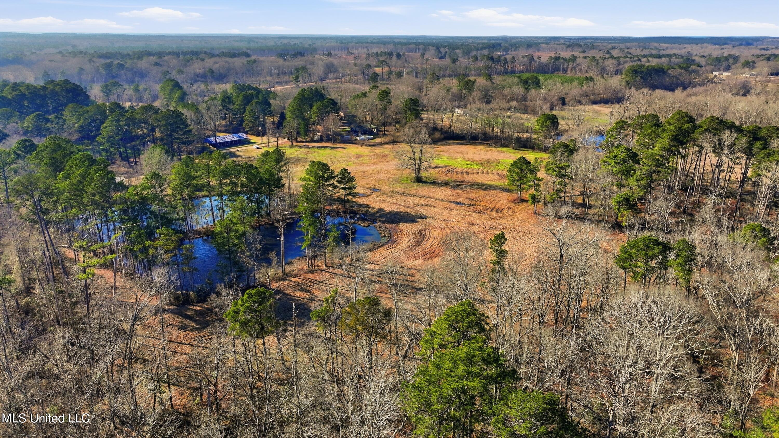 254 Red Allen Road Brandon, MS 39042 - Photo 17 of 31 24-249 Red Allen Rd _ Home Tours MS